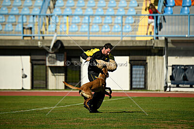 Kora von Weibrusslandkirschental