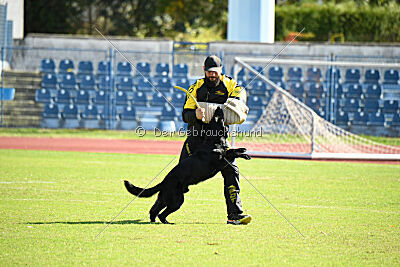 Kurtz von den Heldensage