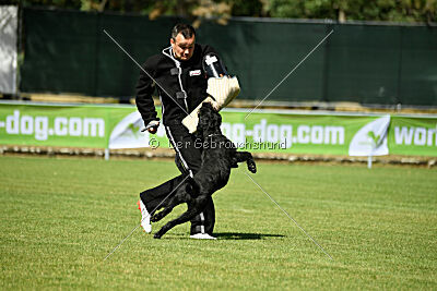 Lakritze von Elberfeld