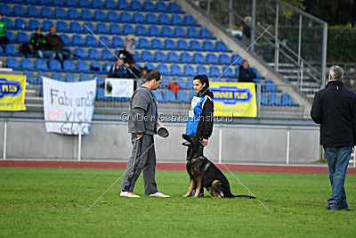 Lamar vom Wolfsheim