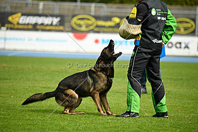 Larcos vom Timmelsjoch