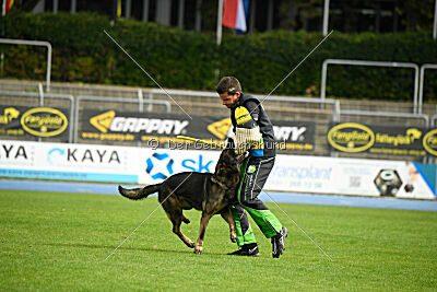 Larcos vom Timmelsjoch