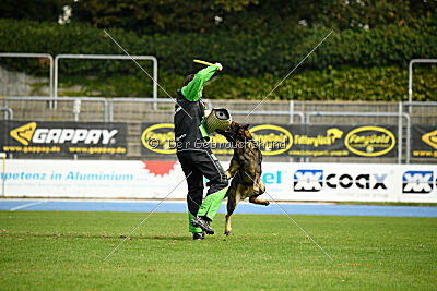 Larcos vom Timmelsjoch