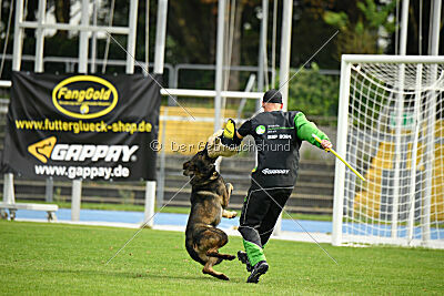 Larcos vom Timmelsjoch