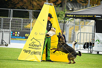 Larcos vom Timmelsjoch