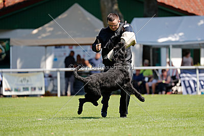 Lasse vom Goldbergsee