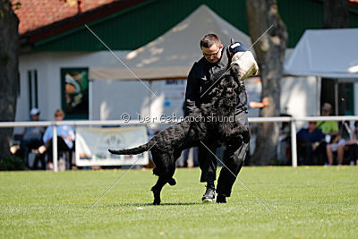 Lasse vom Goldbergsee