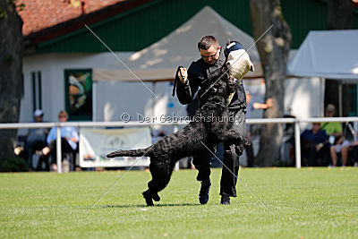 Lasse vom Goldbergsee