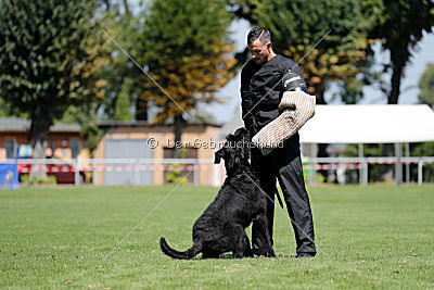 Lasse vom Goldbergsee