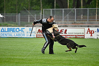 Lee Roy ze Stribrneho kamene