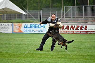 Lee Roy ze Stribrneho kamene