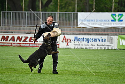 Lee Roy ze Stribrneho kamene