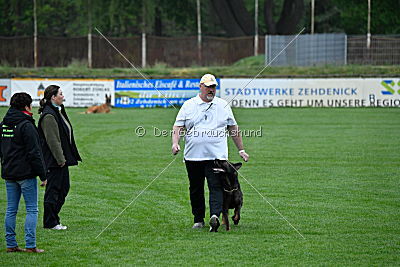 Lee Roy ze Stribrneho kamene