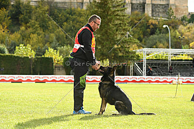 Leeroy des Orckis de l'Adret