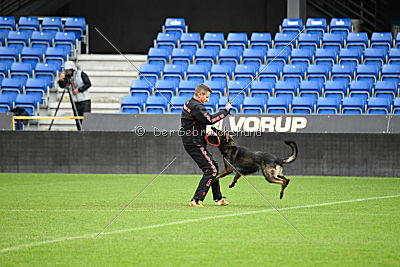 Legolas vom Hermes