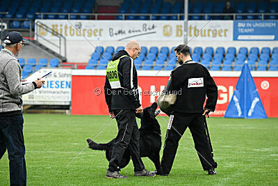 Leif Titusson von der black pearl