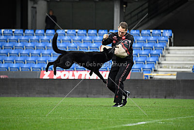 Lelaurier Koh I Noor