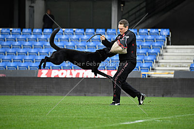 Lelaurier Koh I Noor