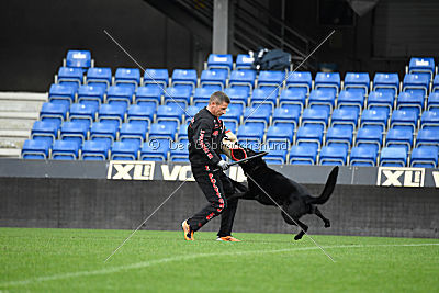 Lelaurier Koh I Noor