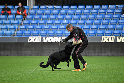 Lelaurier Koh I Noor