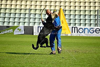 Lelaurier Koh I Noor