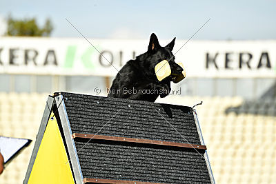 Lelaurier Koh I Noor