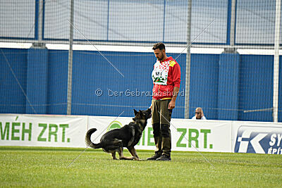 Leo de Jardines del Real