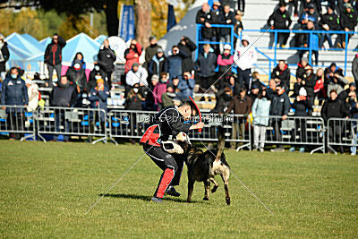 Leo de Jardines del Real