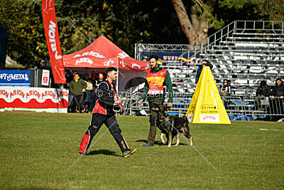 Leo de Jardines del Real