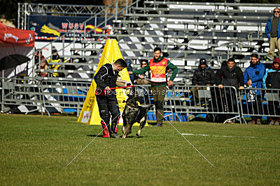 Leo de Jardines del Real