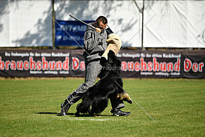 Lerros vom Rungenberg
