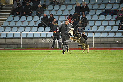 Lesko von der Sigisliebe