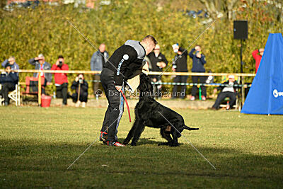 Leto Laran Goldest Danubius