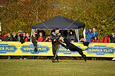 Leto Laran Goldest Danubius