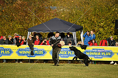 Leto Laran Goldest Danubius