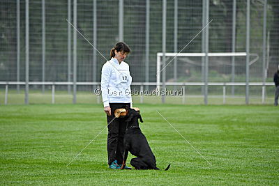 Lexa vom Hellerwald