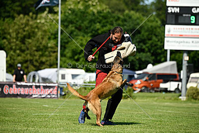 Lexus-Silvester vom Lausitzeck