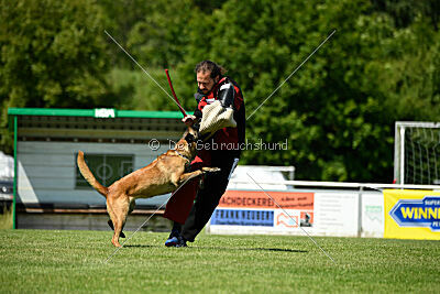 Lexus-Silvester vom Lausitzeck