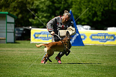 Lexus-Silvester vom Lausitzeck