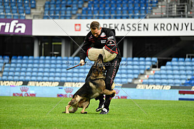 Life vom Kämpferherz