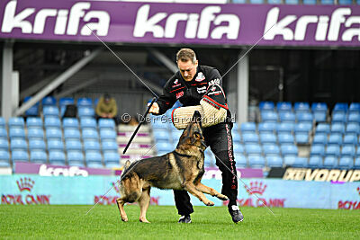 Life vom Kämpferherz