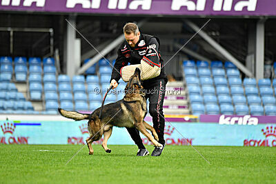 Life vom Kämpferherz