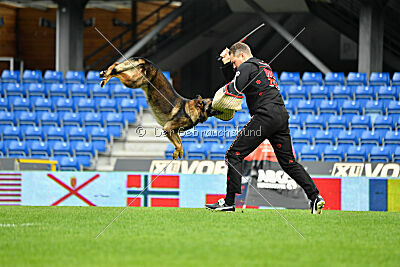 Life vom Kämpferherz