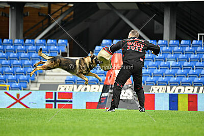 Life vom Kämpferherz