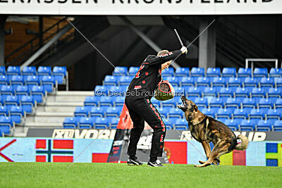 Life vom Kämpferherz