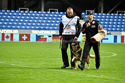 Life vom Kämpferherz