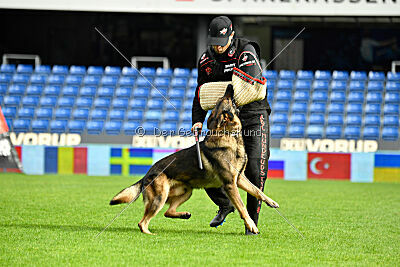 Life vom Kämpferherz