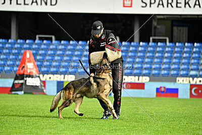 Life vom Kämpferherz