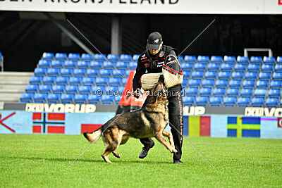 Life vom Kämpferherz