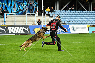 Life vom Kämpferherz